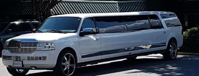 Business 3 image EAST WEST LIMOUSINE SERVICE LTD. travel & tourism in Delta BC