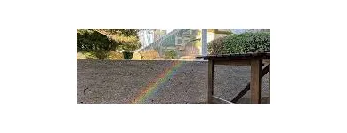 Business 1 image EAT BAR & PATIO HARAHERI Business & Professional Services in Vancouver BC