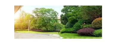 Business 5 image EPSTEIN PROPERTY CARE Landscaping & Gardening Services in Toronto ON