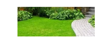 Business 8 image EPSTEIN PROPERTY CARE Landscaping & Gardening Services in Toronto ON
