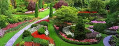Entreprises 4 image EVERGLADE LANDSCAPING Real Estate & Home Improvement dans Burnaby BC