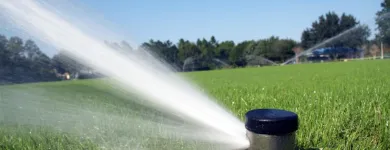 Entreprises 6 image EVERGLADE LANDSCAPING Real Estate & Home Improvement dans Burnaby BC