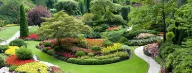 Entreprises 8 image EVERGLADE LANDSCAPING Real Estate & Home Improvement dans Burnaby BC