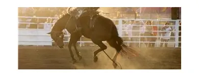 Business 5 image EXHIBITION PARK Exhibition, Convention & Trade Centres in Lethbridge AB