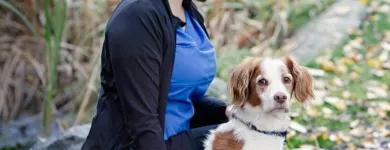 Business 8 image FAIRFIELD ANIMAL HOSPITAL LTD Veterinarians in Kelowna BC