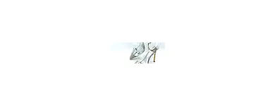 Entreprises 4 image FANCY LADYZ Clothing Stores dans Calgary AB