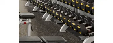 Business 2 image FIT4LESS Sports & Recreation in Thunder Bay ON