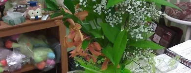 Entreprises 2 image FLEURISTE FLORAMICALE Shopping dans Montréal QC