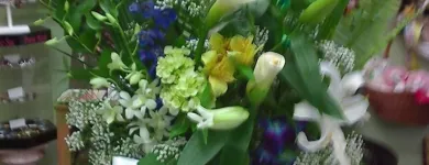 Entreprises 4 image FLEURISTE FLORAMICALE Shopping dans Montréal QC