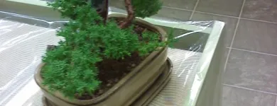 Entreprises 6 image FLEURISTE FLORAMICALE Shopping dans Montréal QC