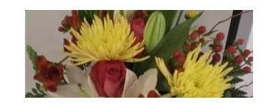 Business 2 image FLORIST CÔTE-VERTU Shopping in Saint-Laurent QC