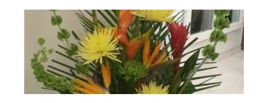 Business 4 image FLORIST CÔTE-VERTU Shopping in Saint-Laurent QC