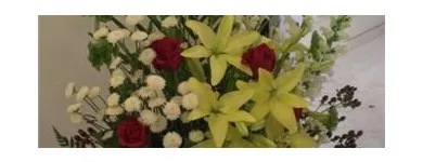 Business 5 image FLORIST CÔTE-VERTU Shopping in Saint-Laurent QC