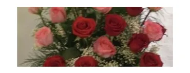 Business 7 image FLORIST CÔTE-VERTU Shopping in Saint-Laurent QC