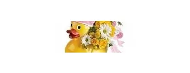 Business 6 image FOREST HILL FLORIST Shopping in Toronto ON