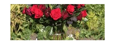 Entreprises 1 image FOXGLOVES FLOWERS Shopping dans Victoria BC