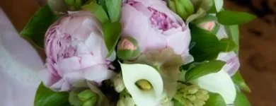 Entreprises 5 image FOXGLOVES FLOWERS Shopping dans Victoria BC