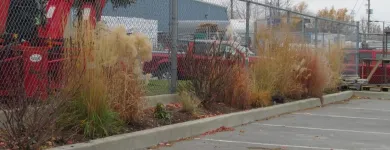 Entreprises 5 image GREEN THUMB GARDEN CENTRE Shopping dans Nepean ON