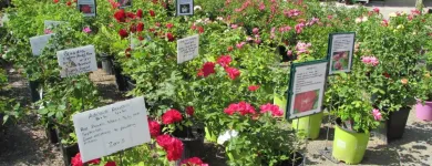 Entreprises 4 image GREEN THUMB GARDEN CENTRE Shopping dans Nepean ON