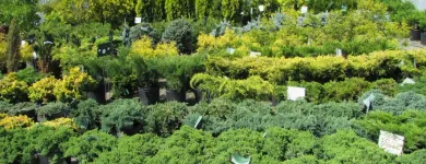 Entreprises 1 image GREEN THUMB GARDEN CENTRE Shopping dans Nepean ON