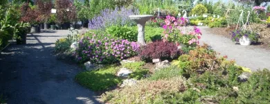 Entreprises 7 image GREEN THUMB GARDEN CENTRE Shopping dans Nepean ON