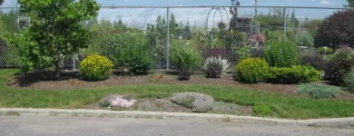 Entreprises 8 image GREEN THUMB GARDEN CENTRE Shopping dans Nepean ON