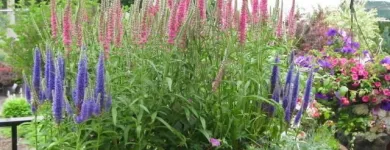 Entreprises 10 image GREEN THUMB GARDEN CENTRE Shopping dans Nepean ON