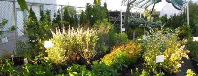 Entreprises 1 image GREEN THUMB GARDEN CENTRE Shopping dans Nepean ON