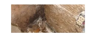 Business 5 image GTA PROPERTY SERVICES GROUP Moving & Relocation Services in Concord ON