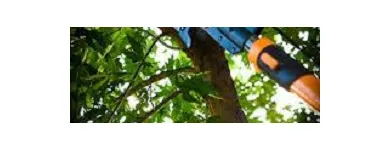 Business 2 image GUARDIAN TREE SERVICES LTD Tree Service/surgeons in Winnipeg South MB