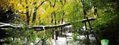 Business 3 image GUARDIAN TREE SERVICES LTD Tree Service/surgeons in Winnipeg South MB