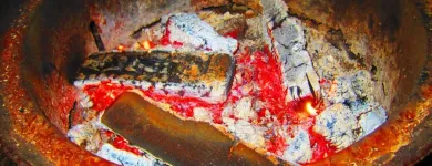 Entreprises 18 image HAVE FUN LEARN ENGLISH Language Schools dans Toronto ON