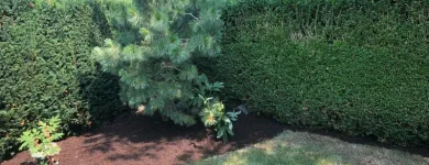 Business 2 image HEDGE TRIMMING VANCOUVER Landscaping & Gardening Services in Vancouver BC