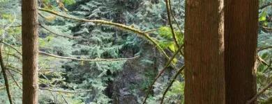 Entreprises 44 image HOLIDAY INN & SUITES NORTH VANCOUVER Wedding Venues dans North Vancouver BC