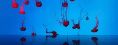 Business 1 image HOLIDAY INN TORONTO-YORKDALE Wedding Venues in Toronto ON