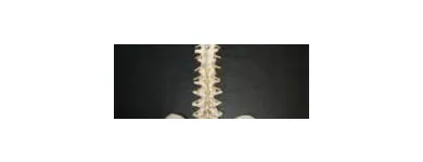 Entreprises 1 image INNOVATION PHYSICAL THERAPY Physiotherapists dans Edmonton AB