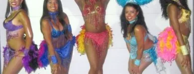 Business 4 image INSPIRACION LATINA DANCE COMPANY Party & Event Planners & Organizers in Toronto ON