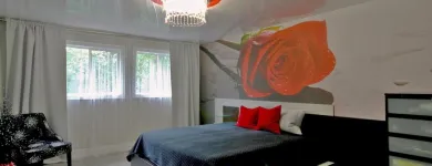 Entreprises 6 image LAQFOIL STRETCH CEILINGS LTD. Wallpapers & Wallcoverings dans North York ON