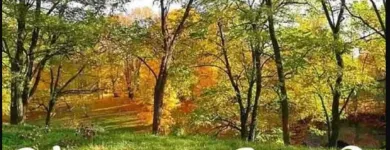 Business 7 image LAURA LEIGH MULLINS - REALTOR ® Real Estate Agents in Dartmouth NS