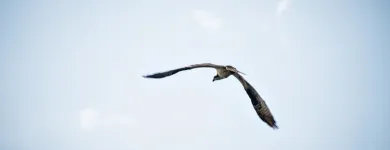 Business 10 image LAURA LEIGH MULLINS - REALTOR ® Real Estate Agents in Dartmouth NS