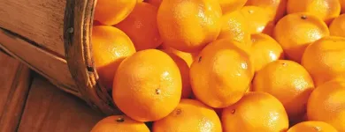 Business 4 image LOBLAWS Supermarkets in Etobicoke ON