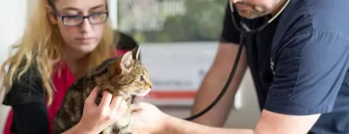 Entreprises 17 image LOCH LOMOND VETERINARY HOSPITAL Veterinarians dans Saint John NB