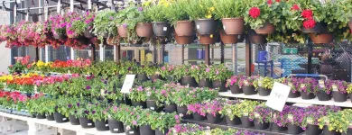 Entreprises 4 image LOWE'S HOME IMPROVEMENT Shopping dans Windsor ON