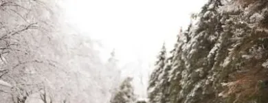 Entreprises 7 image LUMINOUS WEDDINGS Wedding Photography & Videography dans Toronto ON