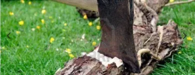 Business 5 image M & M MOBILE SHARPENING Tool Sharpening Services in Vancouver BC