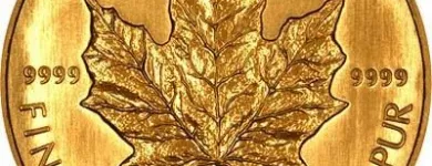 Entreprises 2 image MAX GOLD REFINING Gold, Silver & Platinum Buyers & Dealers dans Mississauga ON