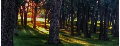 Entreprises 4 image MERIDIAN MASSAGE Massage Therapists dans Winnipeg MB