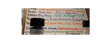 Entreprises 2 image MID-ISLAND HEALTH & WELLNESS ASSOCIATION dans Nanaimo BC