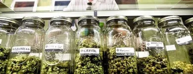 Entreprises 4 image MID-ISLAND HEALTH & WELLNESS ASSOCIATION dans Nanaimo BC