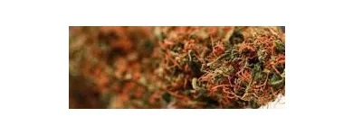 Entreprises 1 image MID-ISLAND HEALTH & WELLNESS ASSOCIATION dans Nanaimo BC